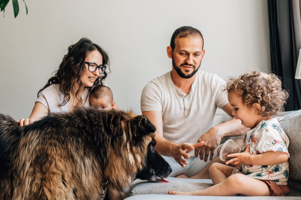 Toddler girl watching how her dog is eating her raisins